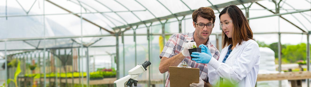 A people in a greenhouse surrounded by equipment such as microscopes. They are examining a plant.