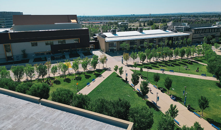 East Gate Lawn from the roof, looking towards the Roderick Mah Centre for Continuous Learning.