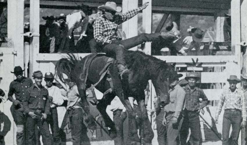 A 1957 photo of a bronc riding event.