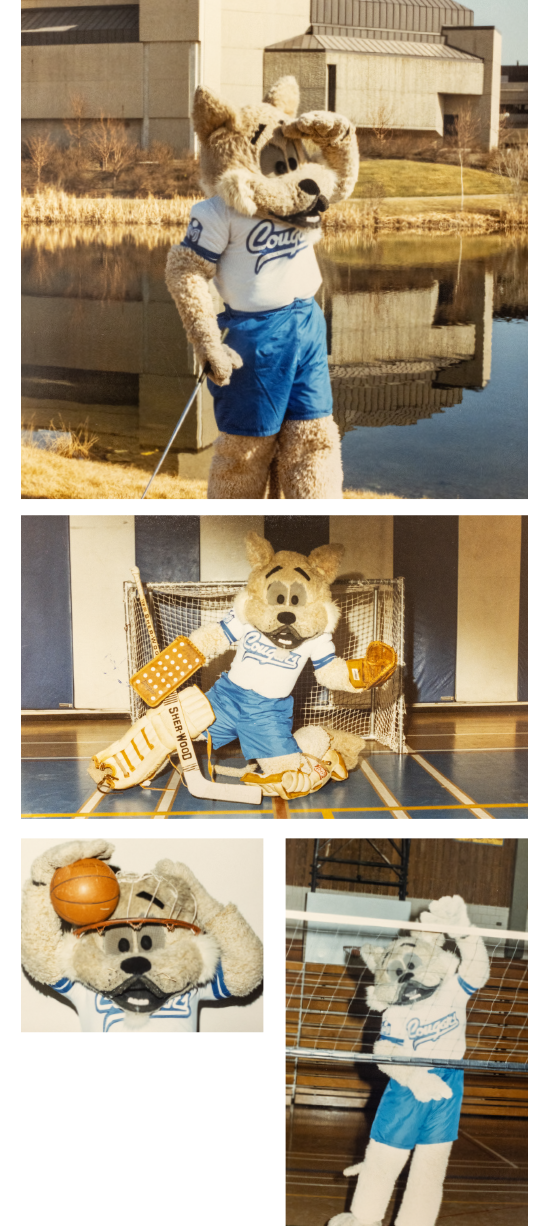 Calvin the Cougar circa 1980s.