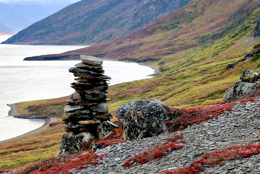 Arctic landscape