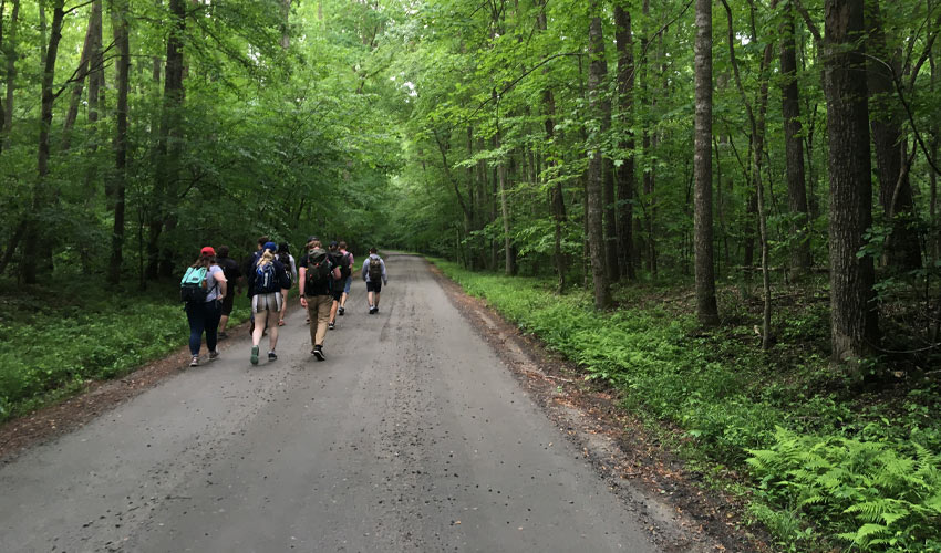 Students hike through the Chancellorsville Battlefield in Virginia.