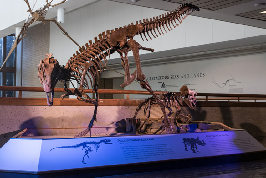 Cretaceous Lands