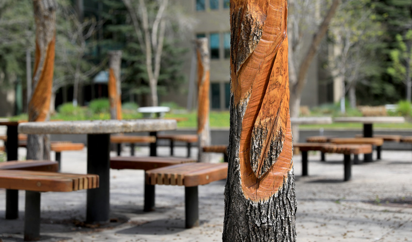 Photo of the permanent installation called Fallen Feathers in a courtyard near the Iniskim Centre and the Office of Academic Indigenization.