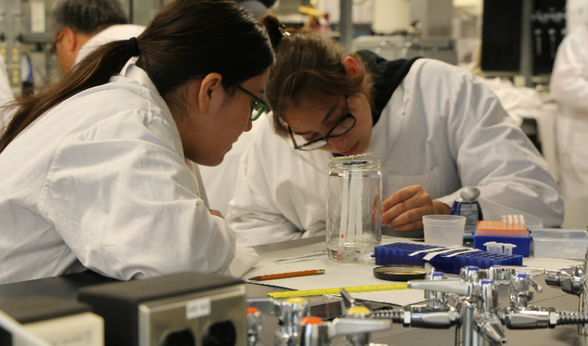 MEG Energy Summer Science Camp