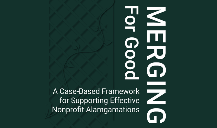 Merging for Good - A Case-Based Framework for Supporting Effective Nonprofit Amalgamations.