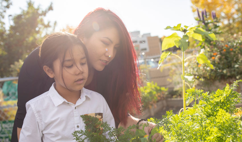 A mother and child examining plants in the Mount Royal community garden.