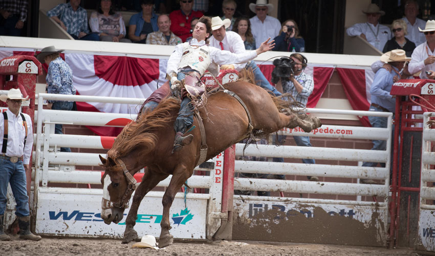 A bareback rider holds on tight to his bronco.