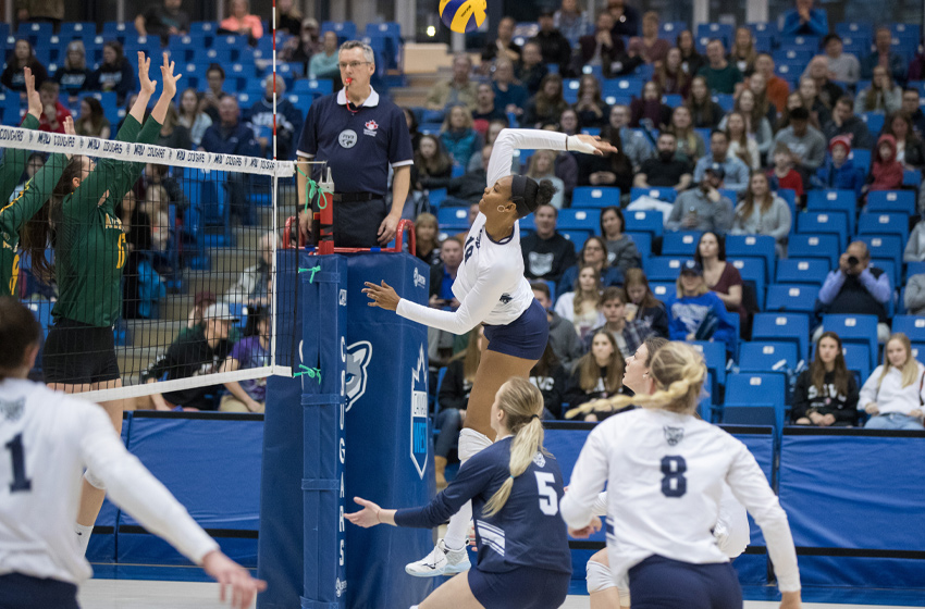 Photo of MRU Cougars Tasha Holness gets ready to spike the ball during a game against the University of Alberta Pandas.