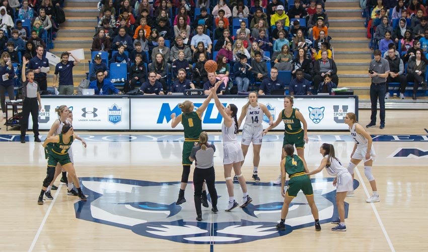 Photo of the Mount Royal Cougars tipping off against the Regina Cougars in basketball action.