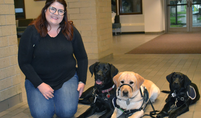 Edmonton's Dogs with Wings