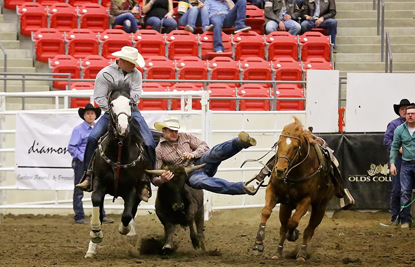 Taylor Weinberger Steer Wrestling