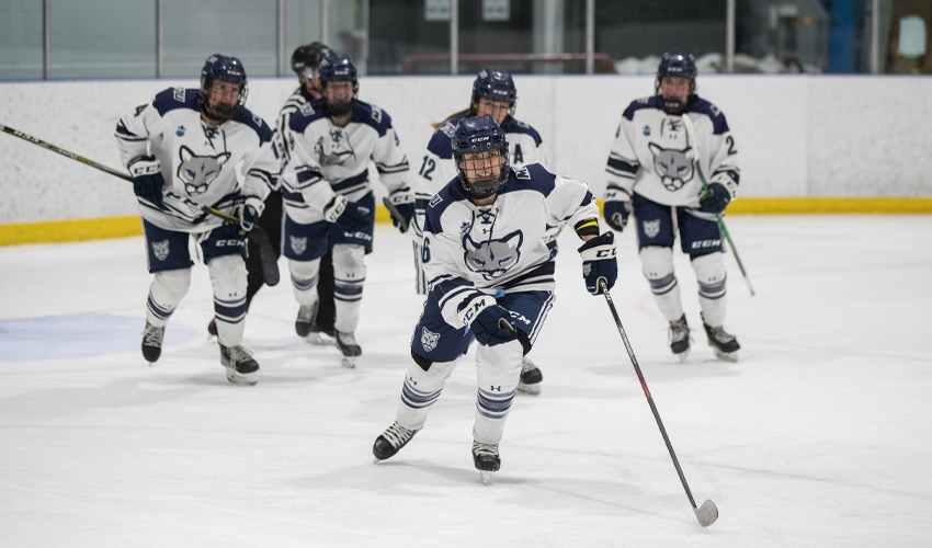 Members of the Cougars Women's hockey team celebrate after a goal.