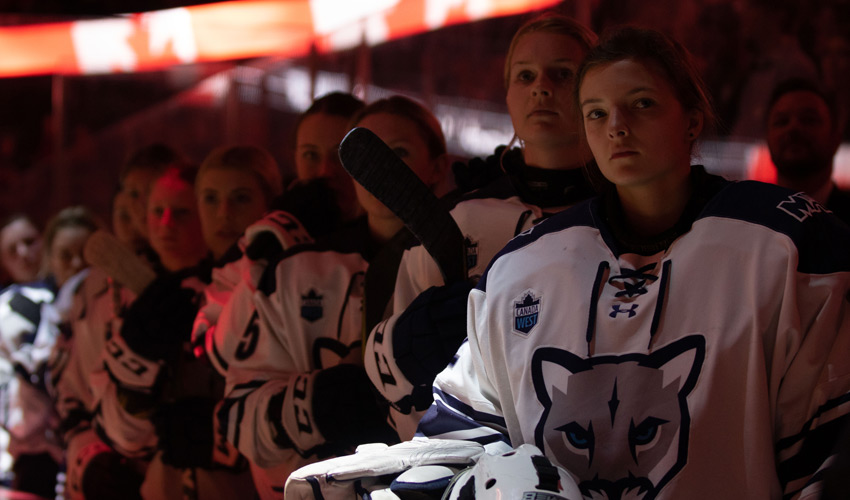 It's the year of the Cougars - Mount Royal University Cougars Athletics