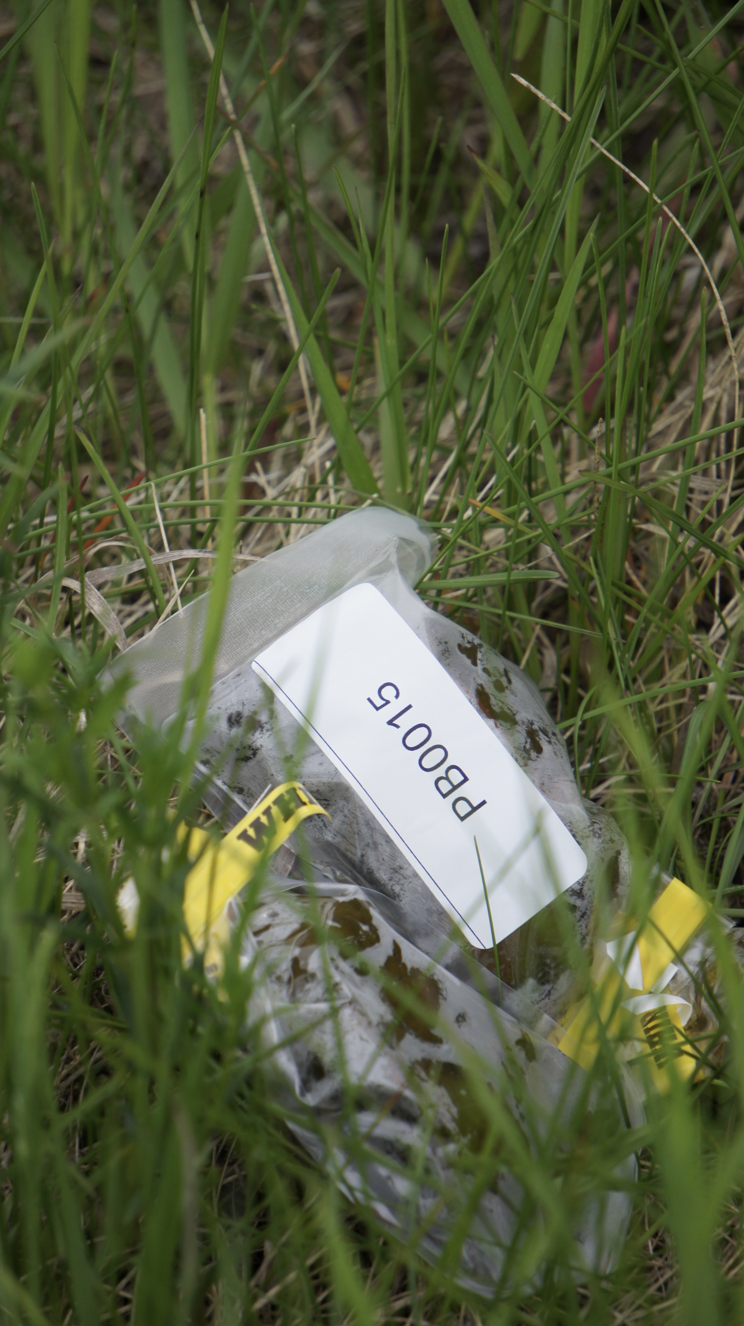 A bag of elk fecal pellets rests on the grass.
