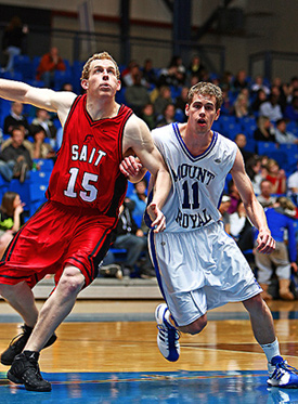 Cougar mens basketball