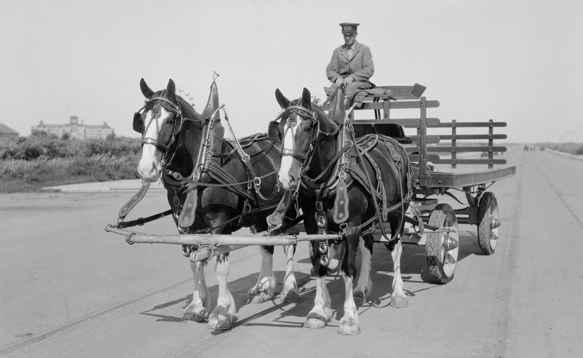 Hudson’s Bay Company cart team, Edmonton, AB, 1928