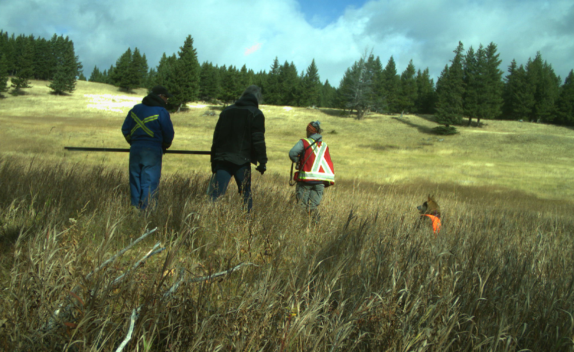 Three people working together in a grassy field installing motion-sensitive cameras.