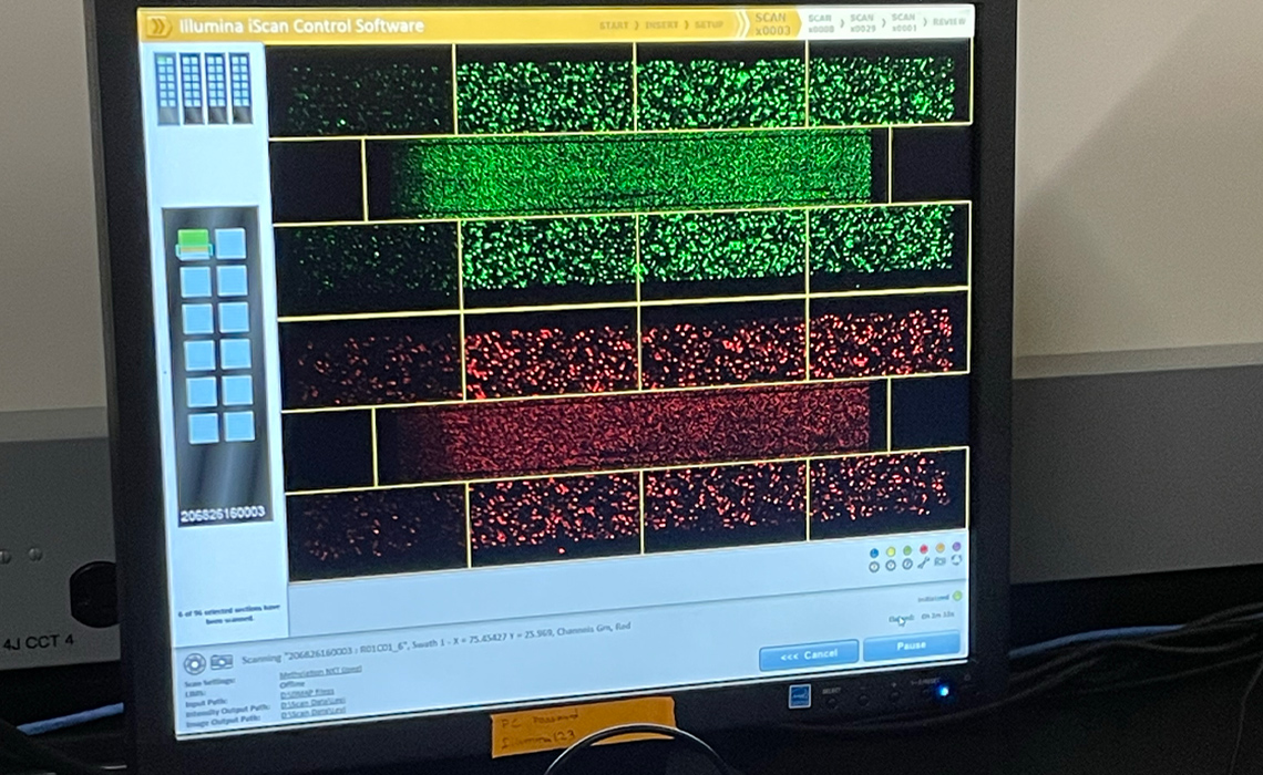 This computer image shows polar bear DNA with epigenetic marks. Courtesy of Levi Newediuk.