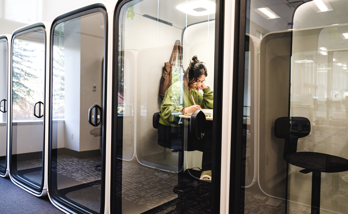 Equipped with controllable lighting and sit-stand desks, the new pods give students requiring sensory accommodations a quiet space to write exams on schedule alongside their peers.