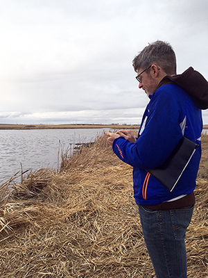 content_news_safeguard_wetlands_frog_in_hand