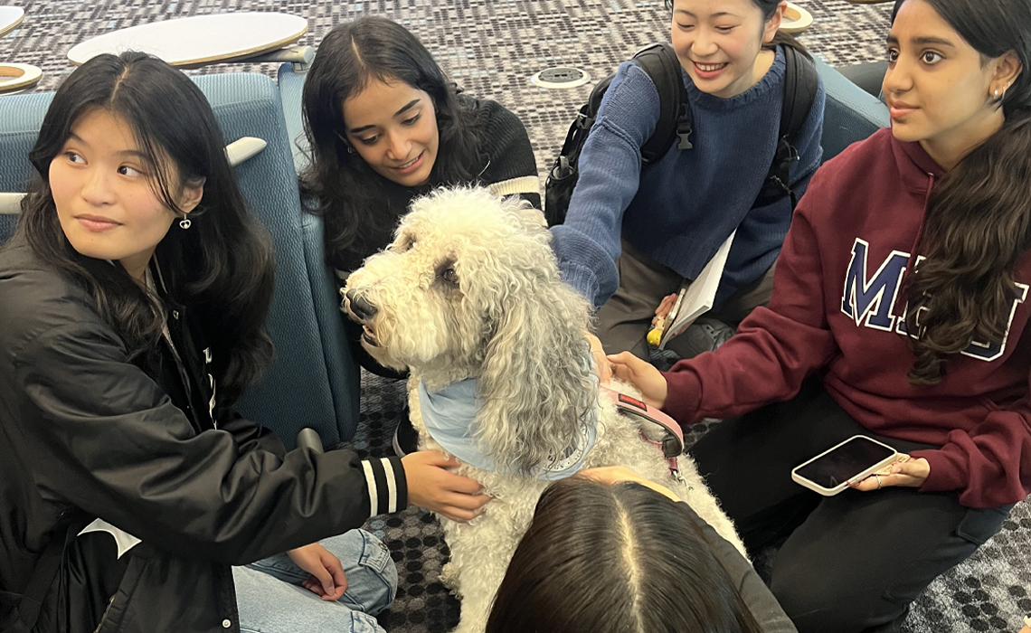 Several young women gathered around a dog, enjoying each other's company.