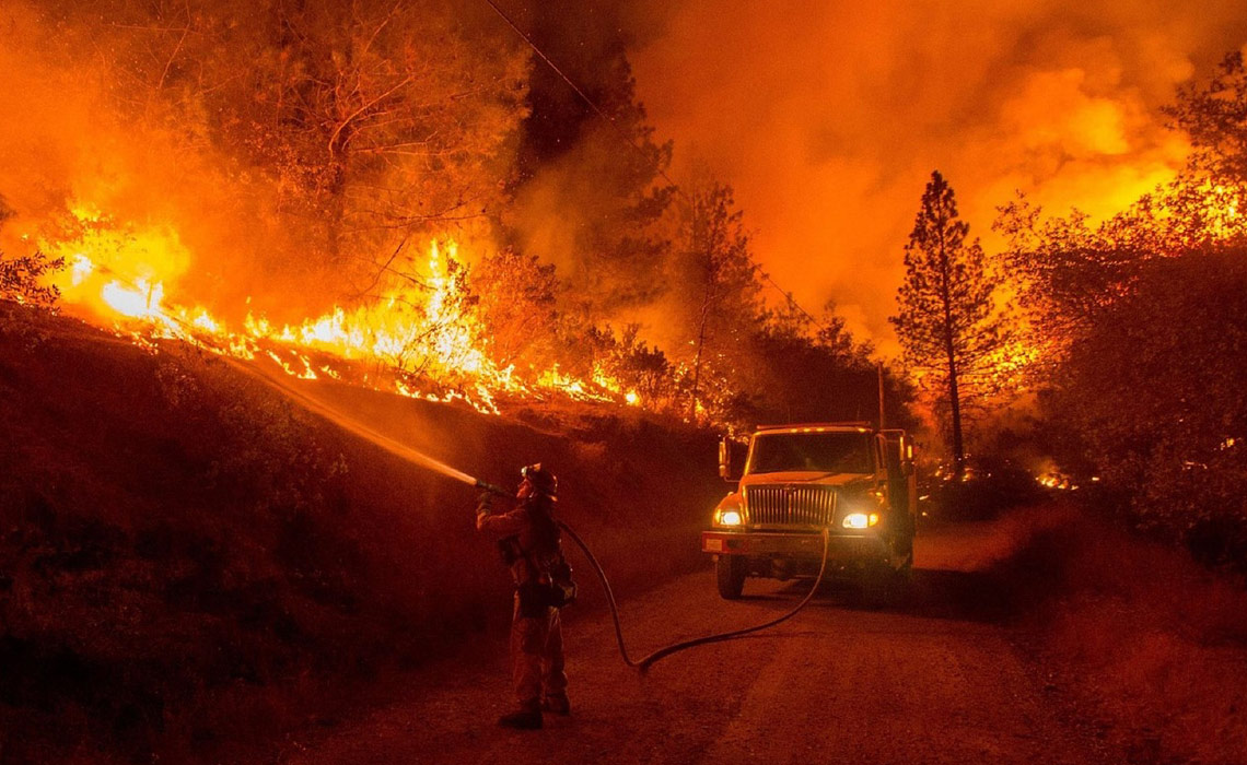 A firefighter battles intense flames in a forest.