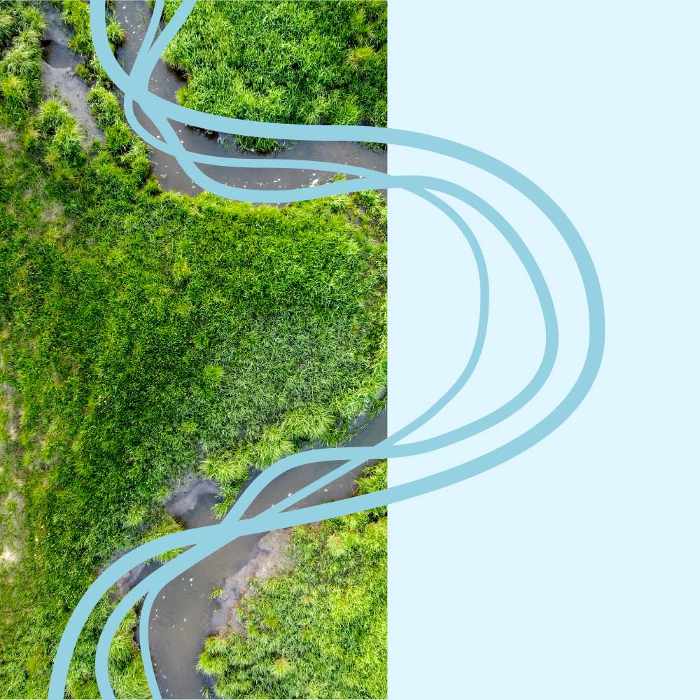 An aerial photo of a winding river through a forest with curving blue lines drawn over the river.