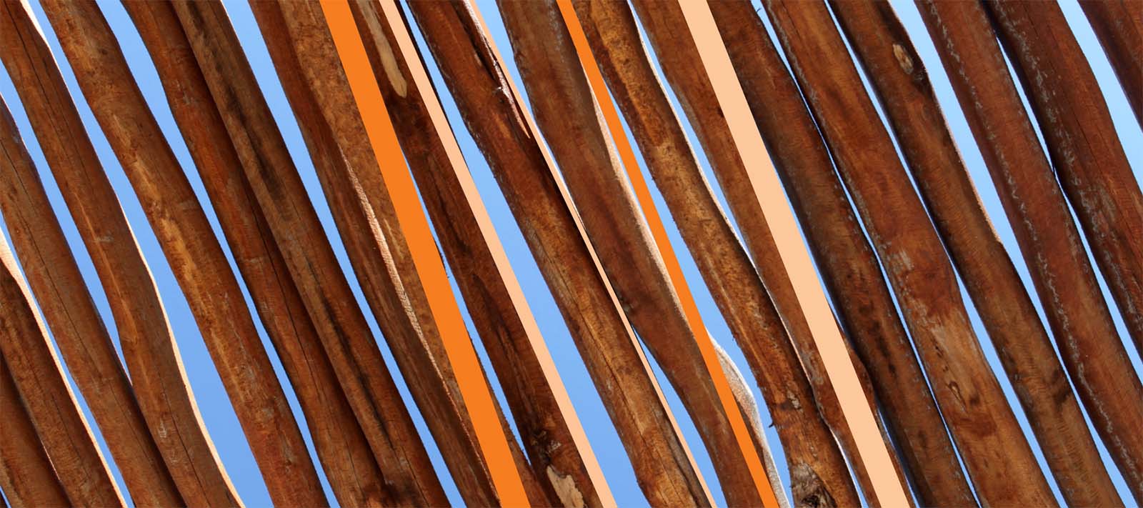 Lines of lodge poles against a beautiful blue sky with orange lines drawn along them.