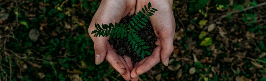 MRU Sustainability Fair and Speaker Series