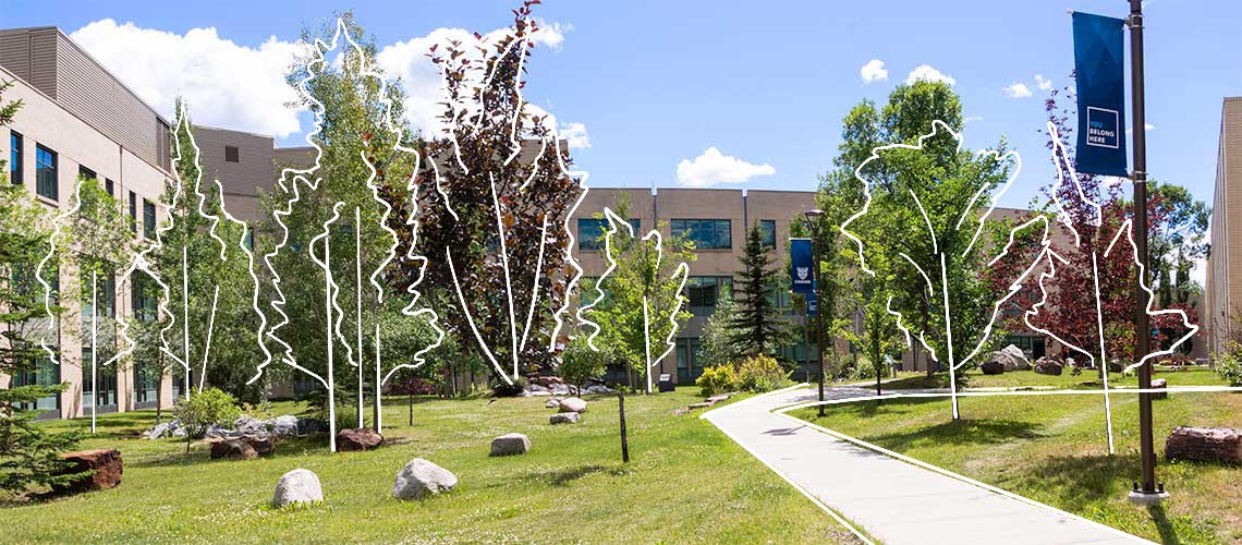 Photo of Mount Royal University's outdoor, geological rock garden.