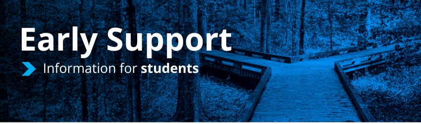 Picture of a bapthway bifurcating with all blue hues. 'Early Support, Information for students' is written on the top left hand side.