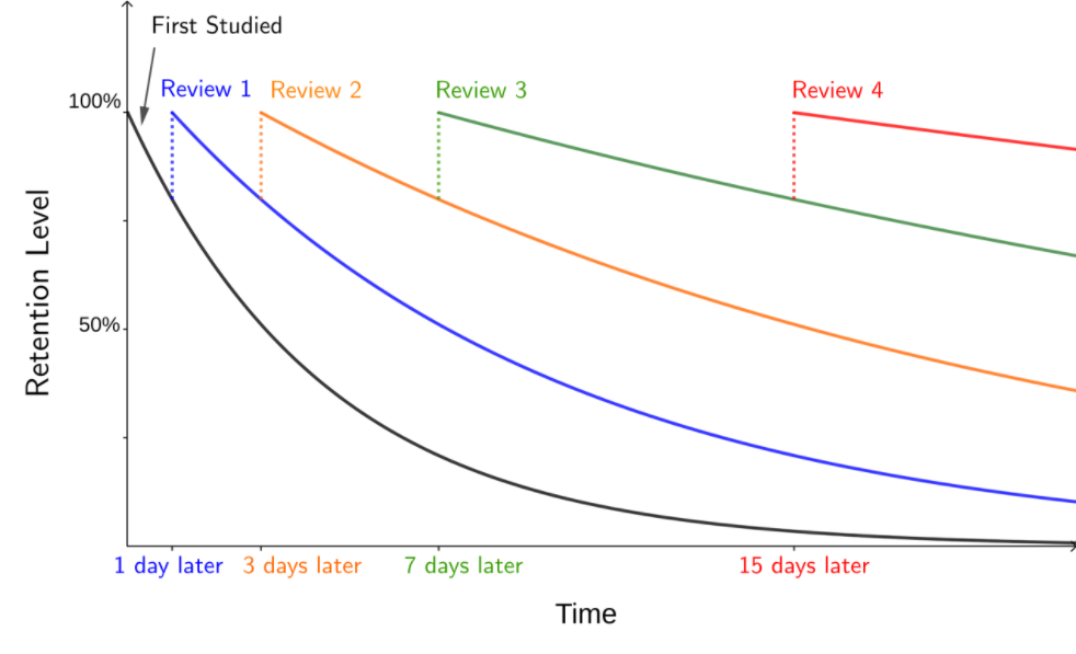 Graph of the forgetting curve