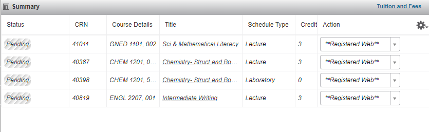 Registration summary