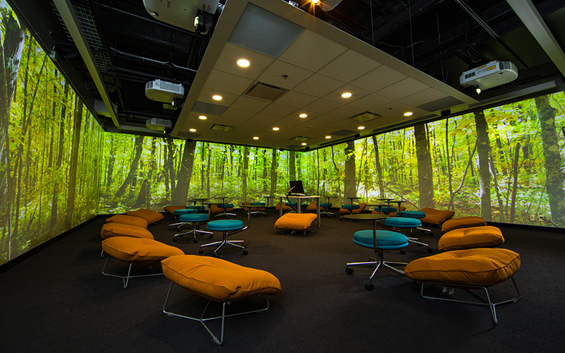 A room filled with low chairs with a projection of a forest on in all directions.