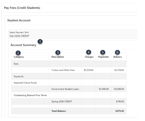 account summary screen shot