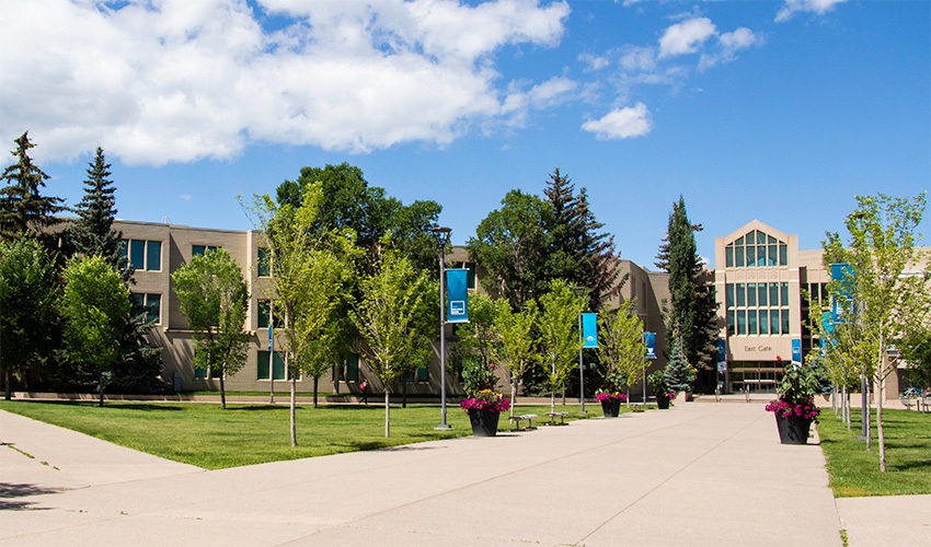 Photo of the East Gate lawn looking at A-wing. There are concrete paths, grassy areas, flower pots and a variety of trees in front of a concrete and brick fasade.