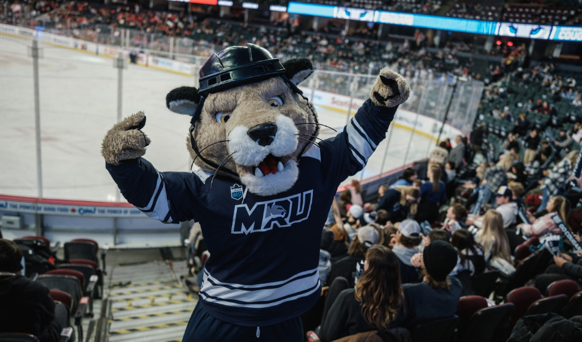 Calvin the Cougar striking a pose in the stands at Crowchild Classic