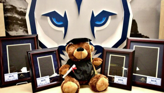 Frames for photos and degrees and a stuffed bear in a graduation outfit in front of a giant Cougars logo.