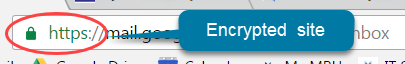 Encrypted Sites
