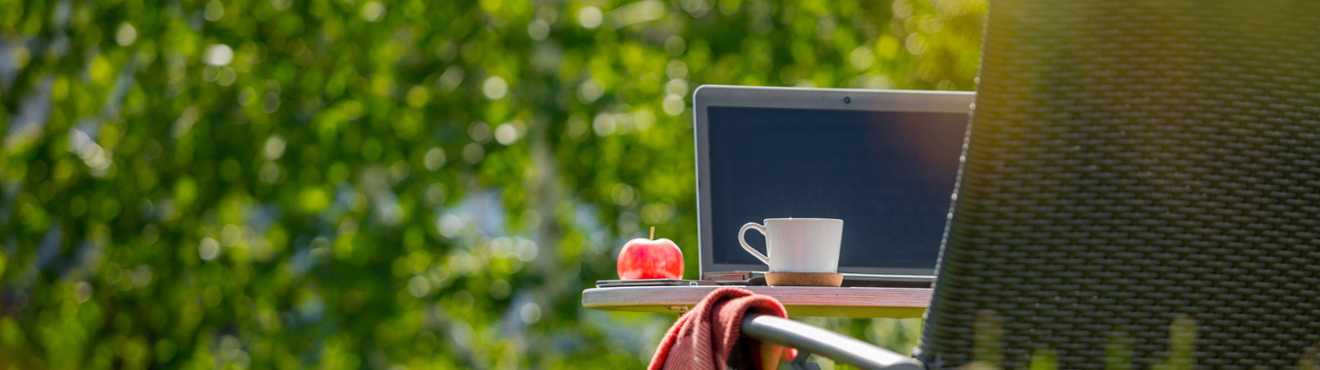 A sunny study space with laptop and chair outside in green grass.