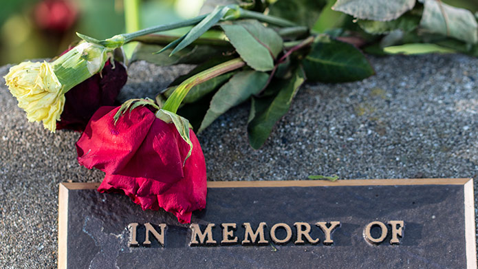 A rose on a headstone that reads 'In Memory Of'