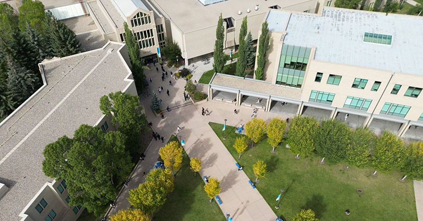 An aerial photo of the East Gate Lawn in summer.