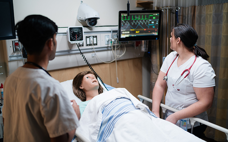 Two students examining a simulation patient in the Health Simulation Learning Centre.