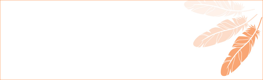 A white box with an orange border and 3 orange feathers on the right-hand side.