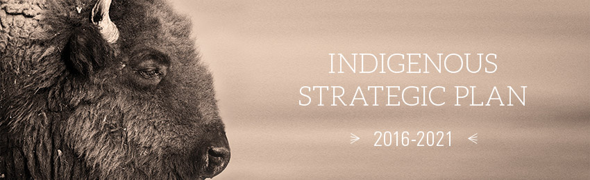 Image of a bison with text that reads Indigenous Strategic Plan 2016-2021