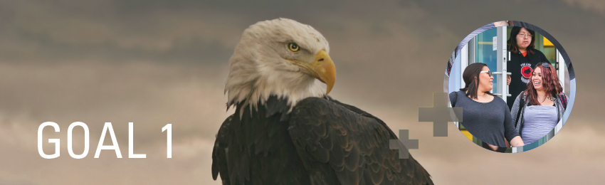 An eagle partially covered with a geographic design and a photo of a group of indigenous student