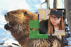 A beaver partially covered with a geographic design and a photo of an indigenous student