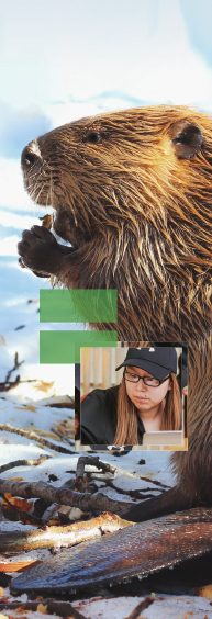 A beaver partially covered with a geographic design and a photo of an indigenous student