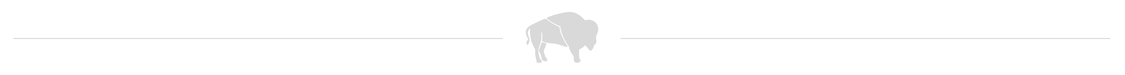 buffalo page break